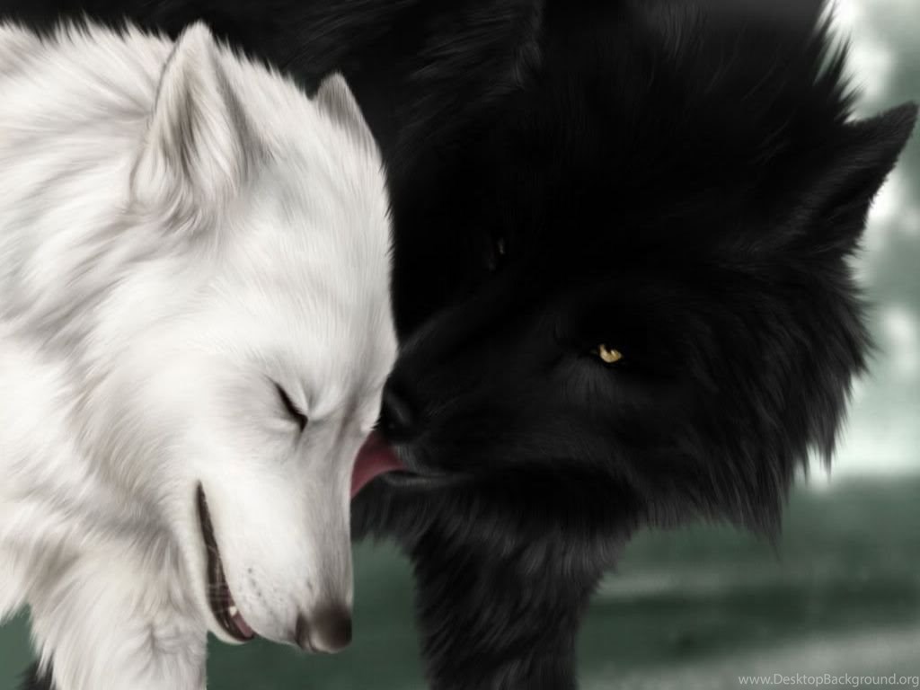 Mobile wallpaper: Animals, Wolfs, 29548 download the picture for free.