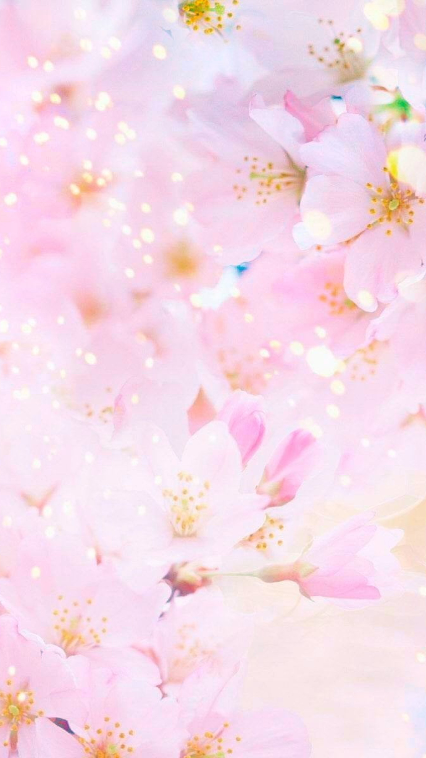 Sakura Wallpaper, Earth, Spring, Blossom, Pastel, Pink, Sunny, Flower • Wallpaper For You