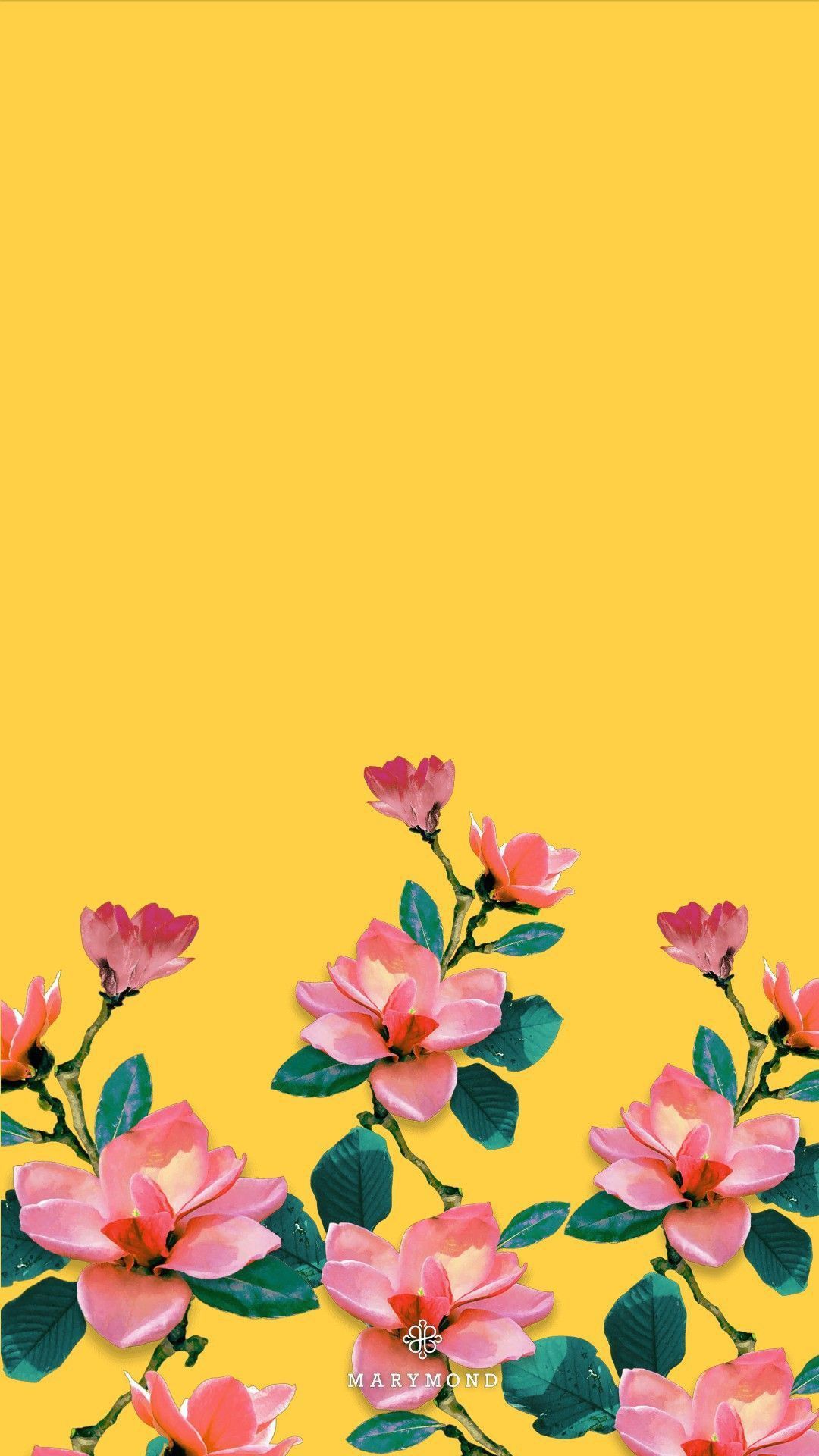 Yellow Flower iPhone Wallpaper, HD Yellow Flower iPhone Background on WallpaperBat