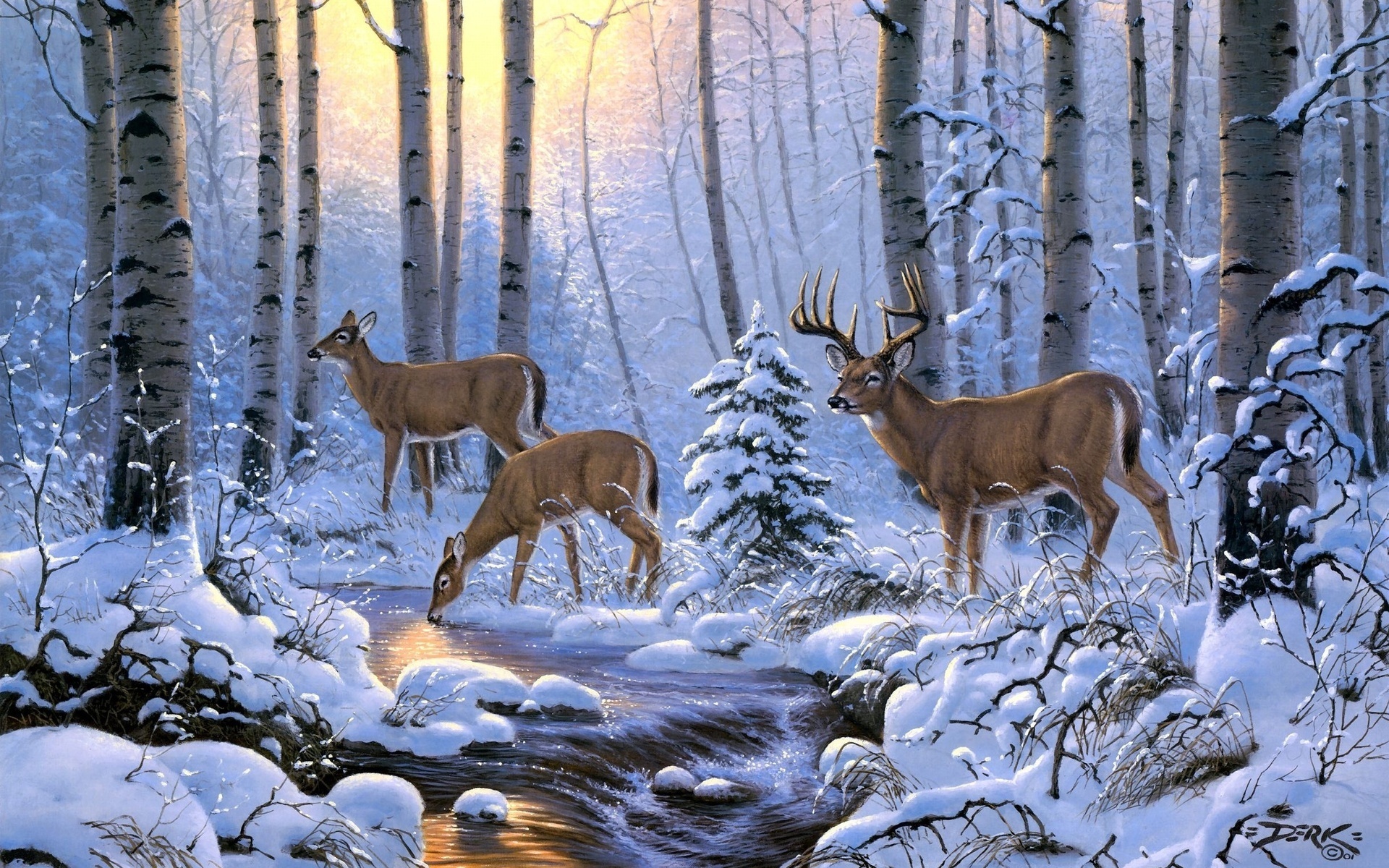 Wallpaper. Animals. photo. picture. Deer, snow, the river, light, forest