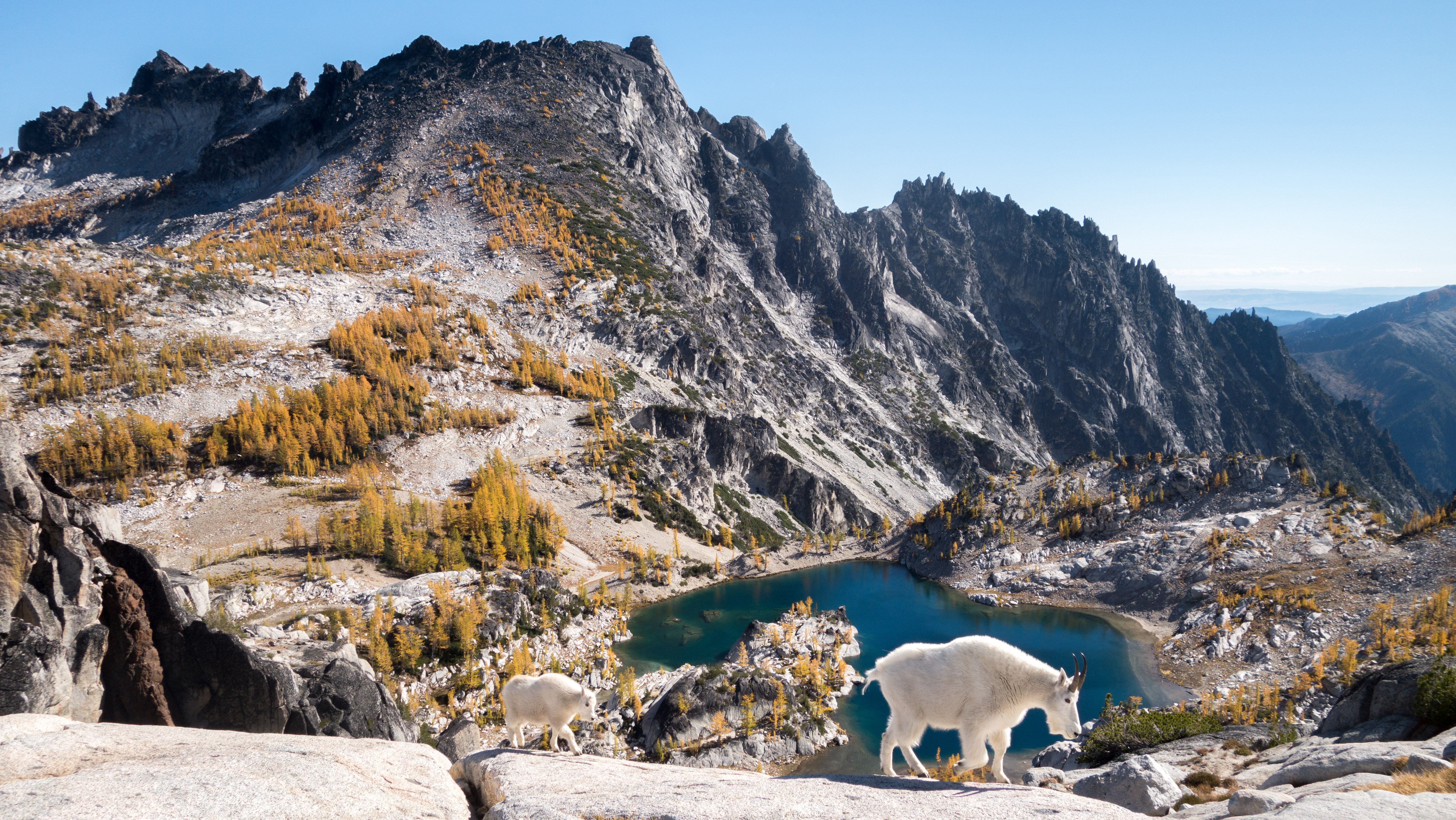 Enchantments 4K wallpaper for your desktop or mobile screen free and easy to download