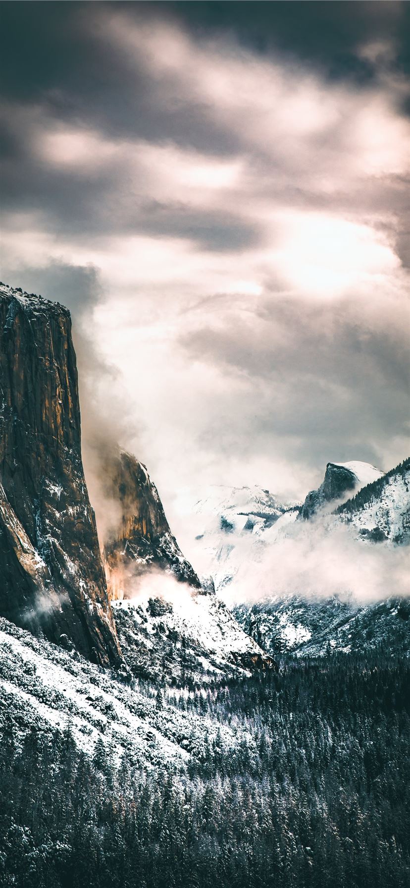 enchantment iPhone 11 Wallpaper Free Download