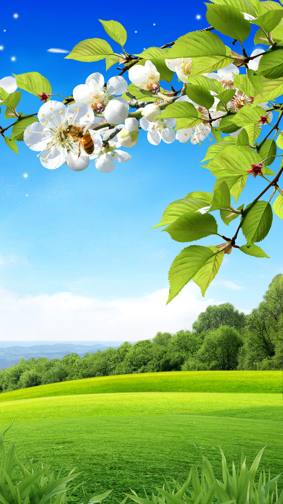 Spring Background Wallpaper Wallpaper HD iPhone 6
