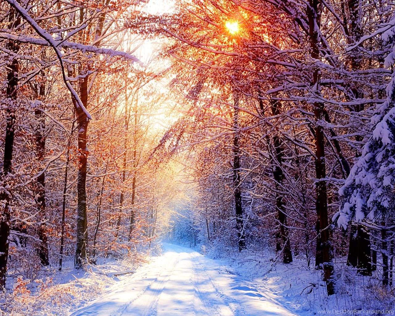 Winter season wallpaper for desktop Desktop Background