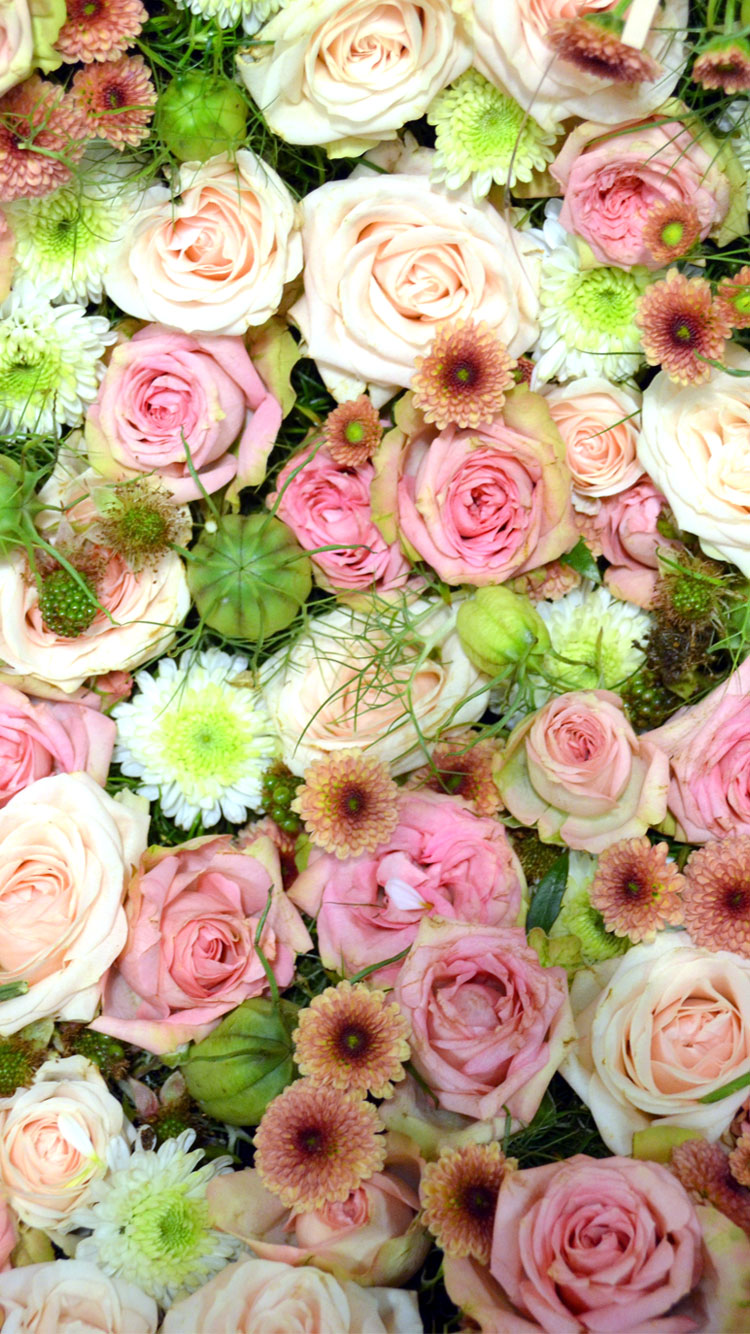 Best iPhone 6, 6S & 7 HD Wallpaper / Background For Spring & Summer