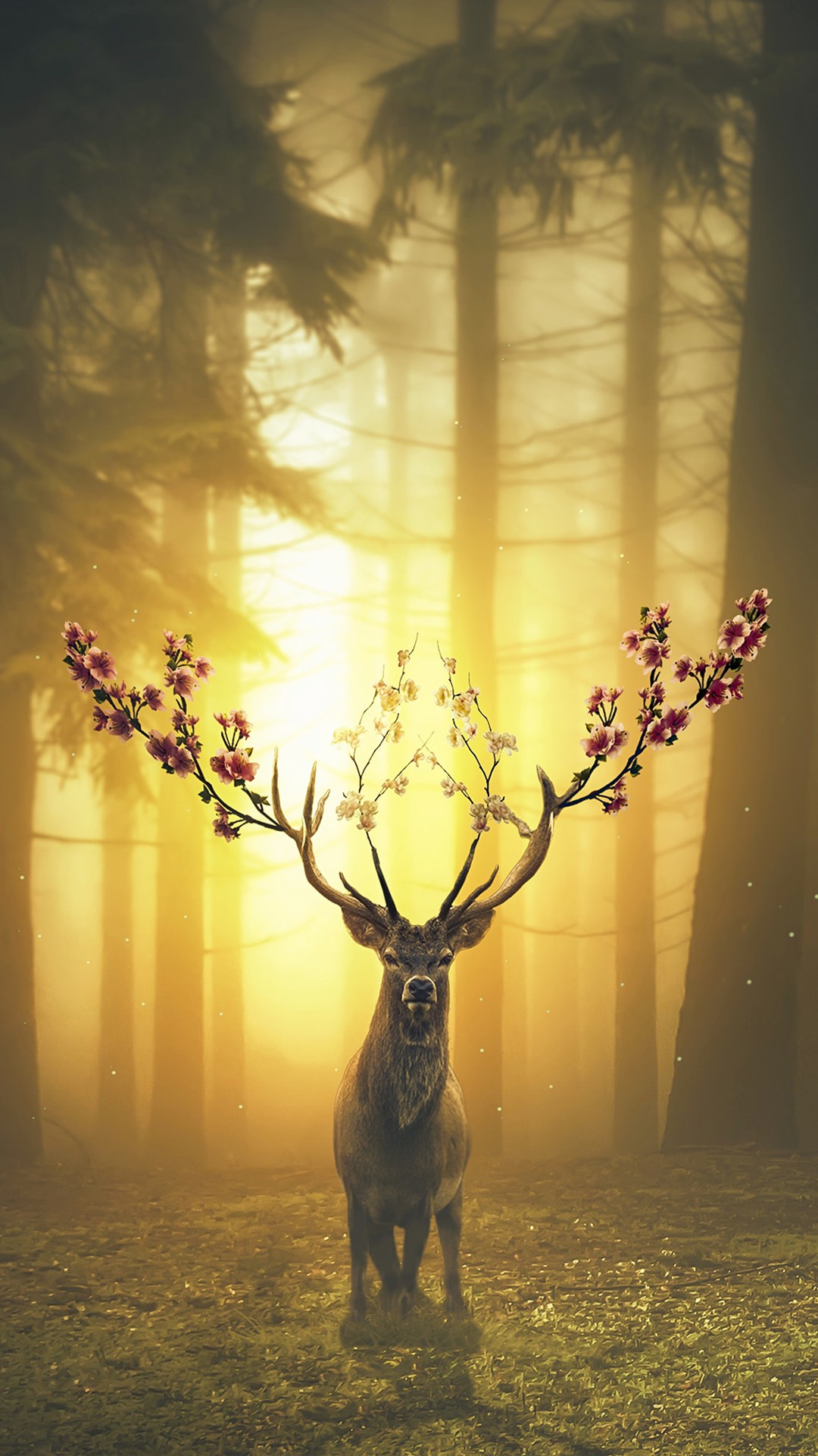 Spring Deer Forest Wallpaper
