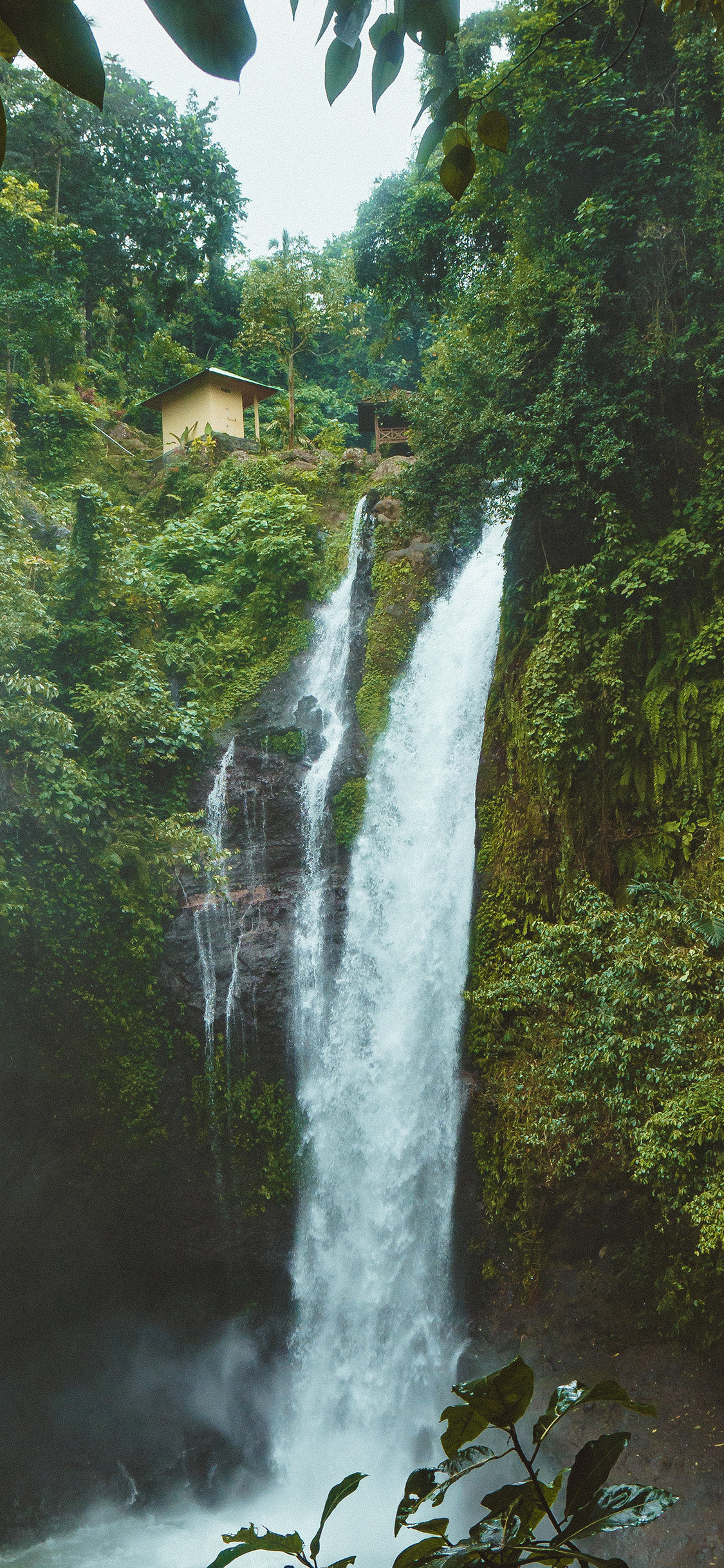 iPhone X wallpaper. waterfall summer forest river nature jungle