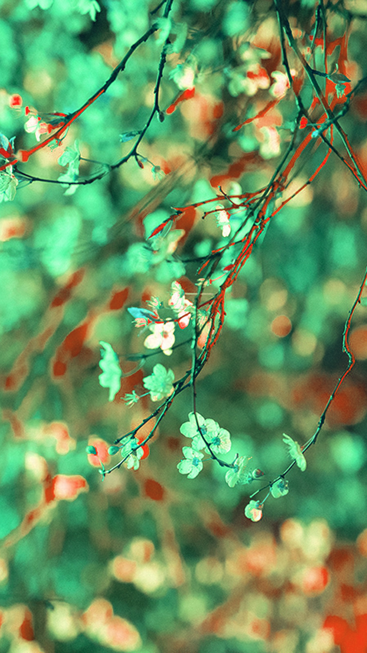 iPhone 6 wallpaper. art flower green light cherry blossom spring