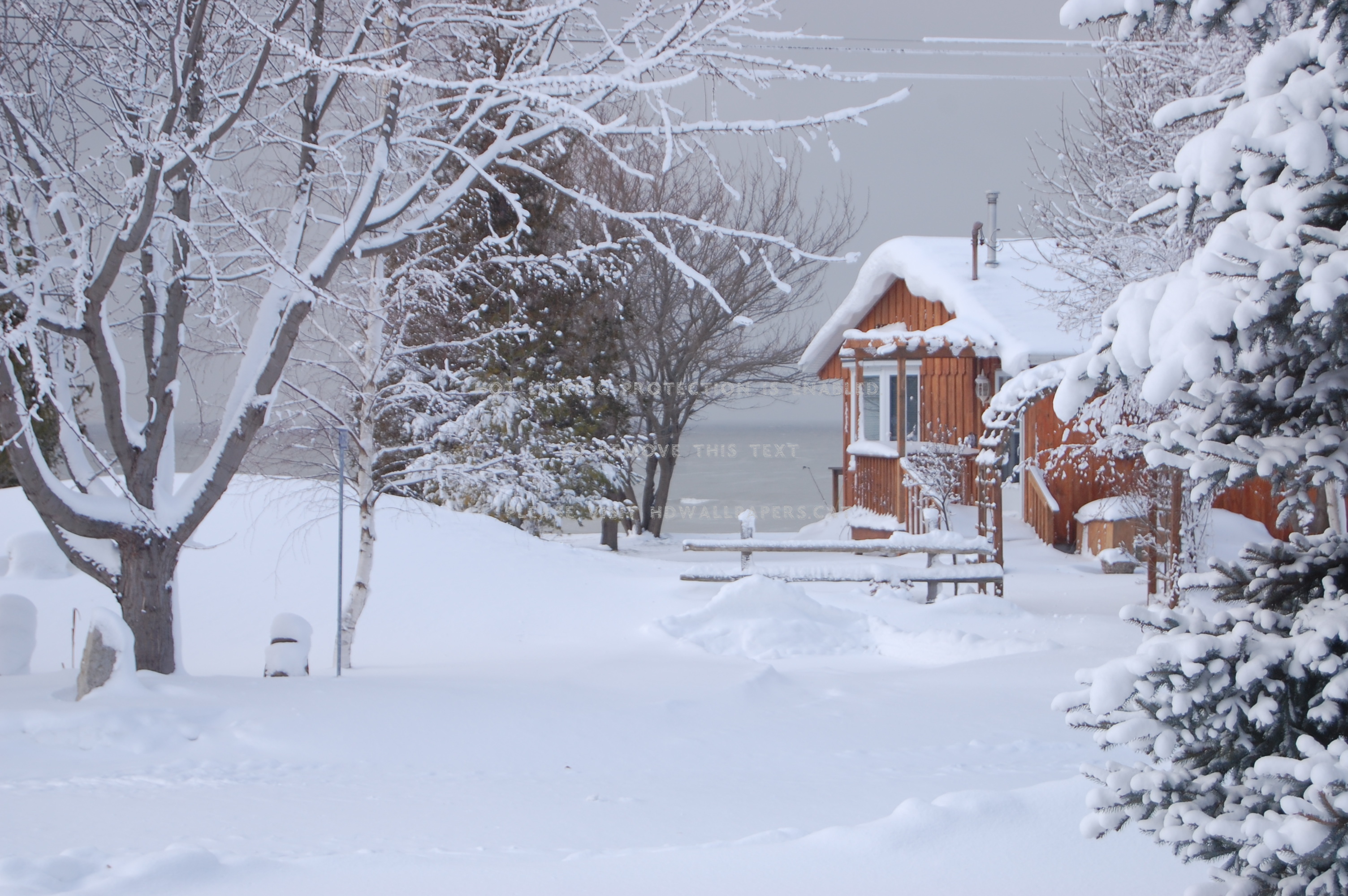cottage winter frig zapada morning cabana
