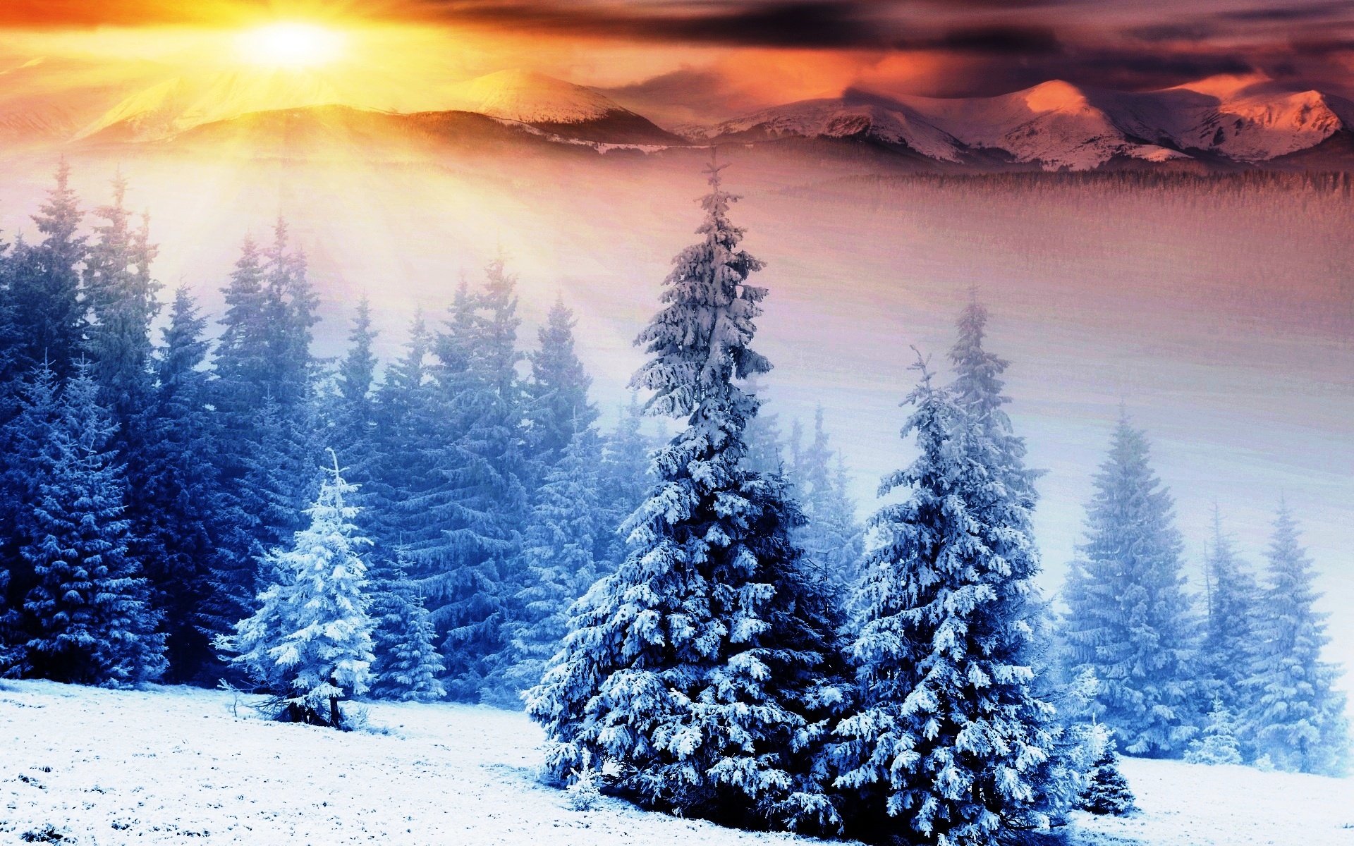 Beautiful Image Of Winter Season