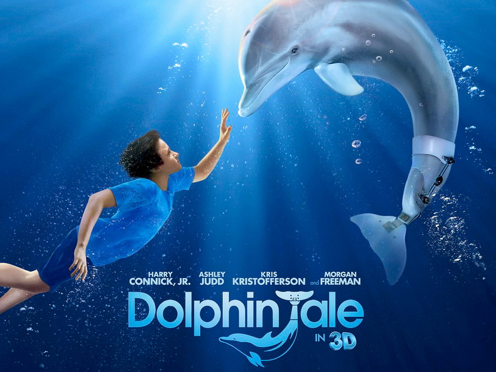 Dolphin Tale wallpaper, Movie, HQ Dolphin Tale pictureK Wallpaper 2019