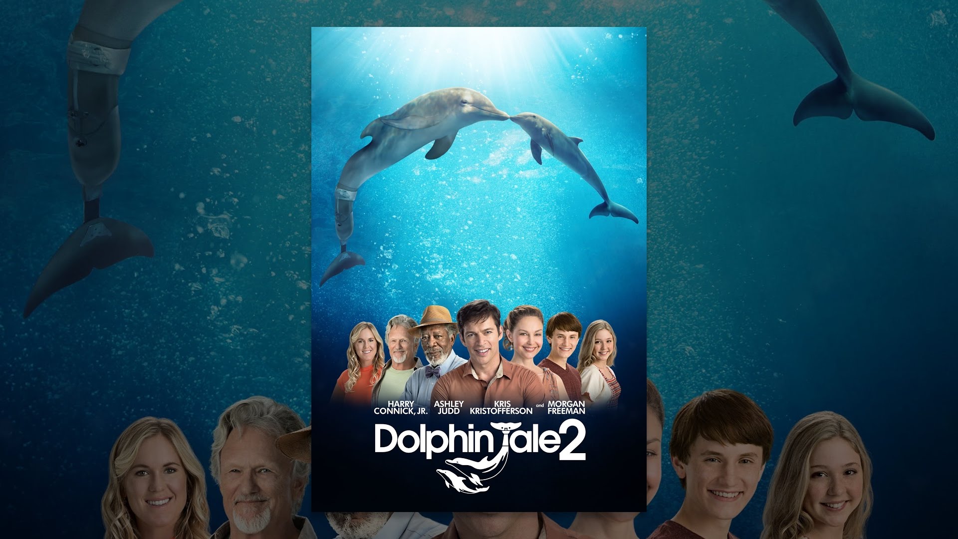 Dolphin Tale 2
