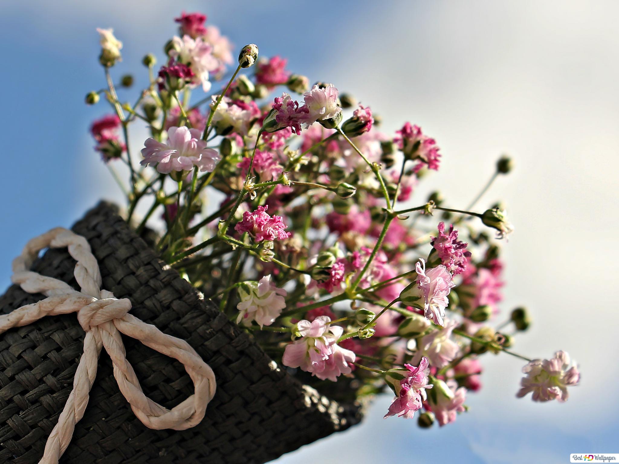 A bunch of pretty pink Gypsophila flowers in a basket HD wallpaper download