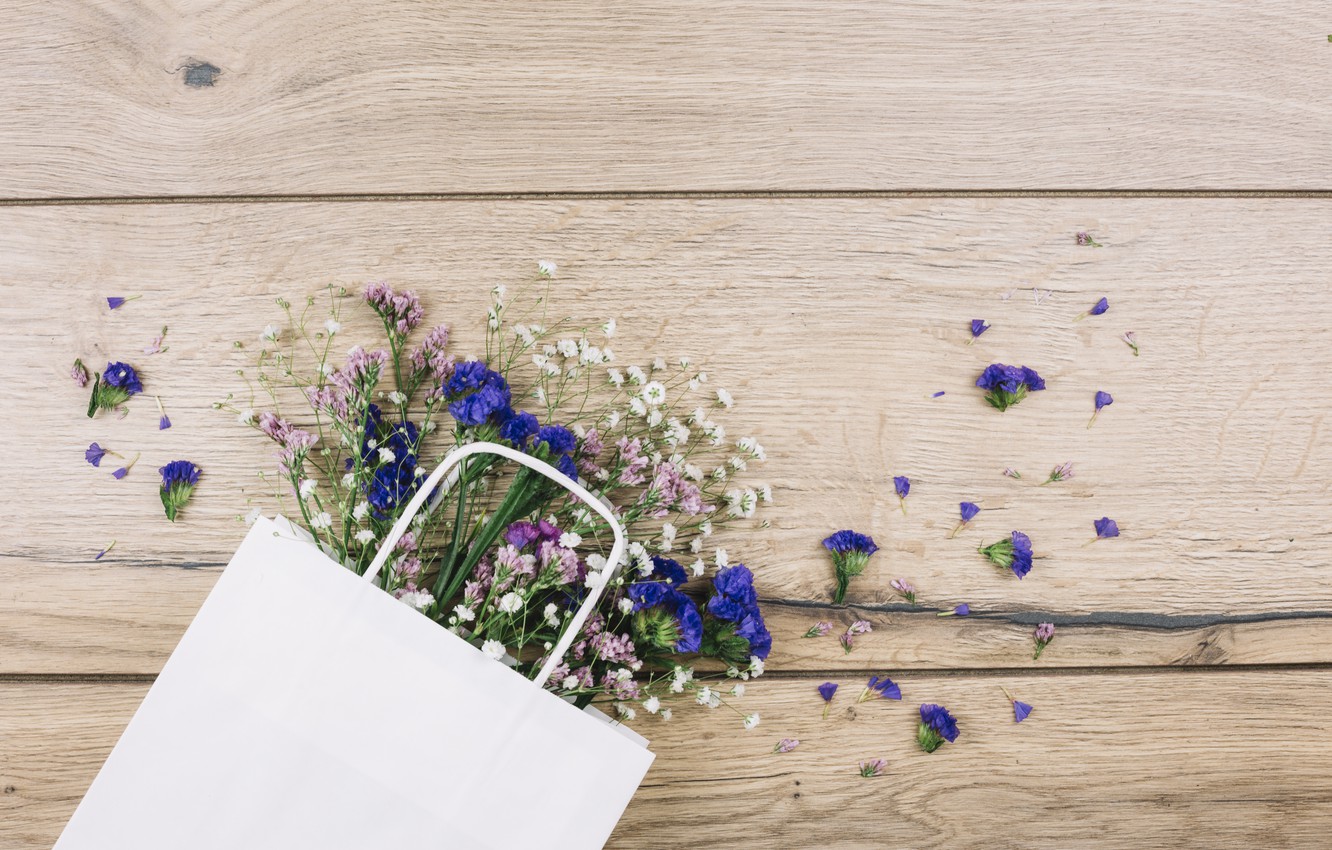 Gypsophila Wallpapers - Wallpaper Cave