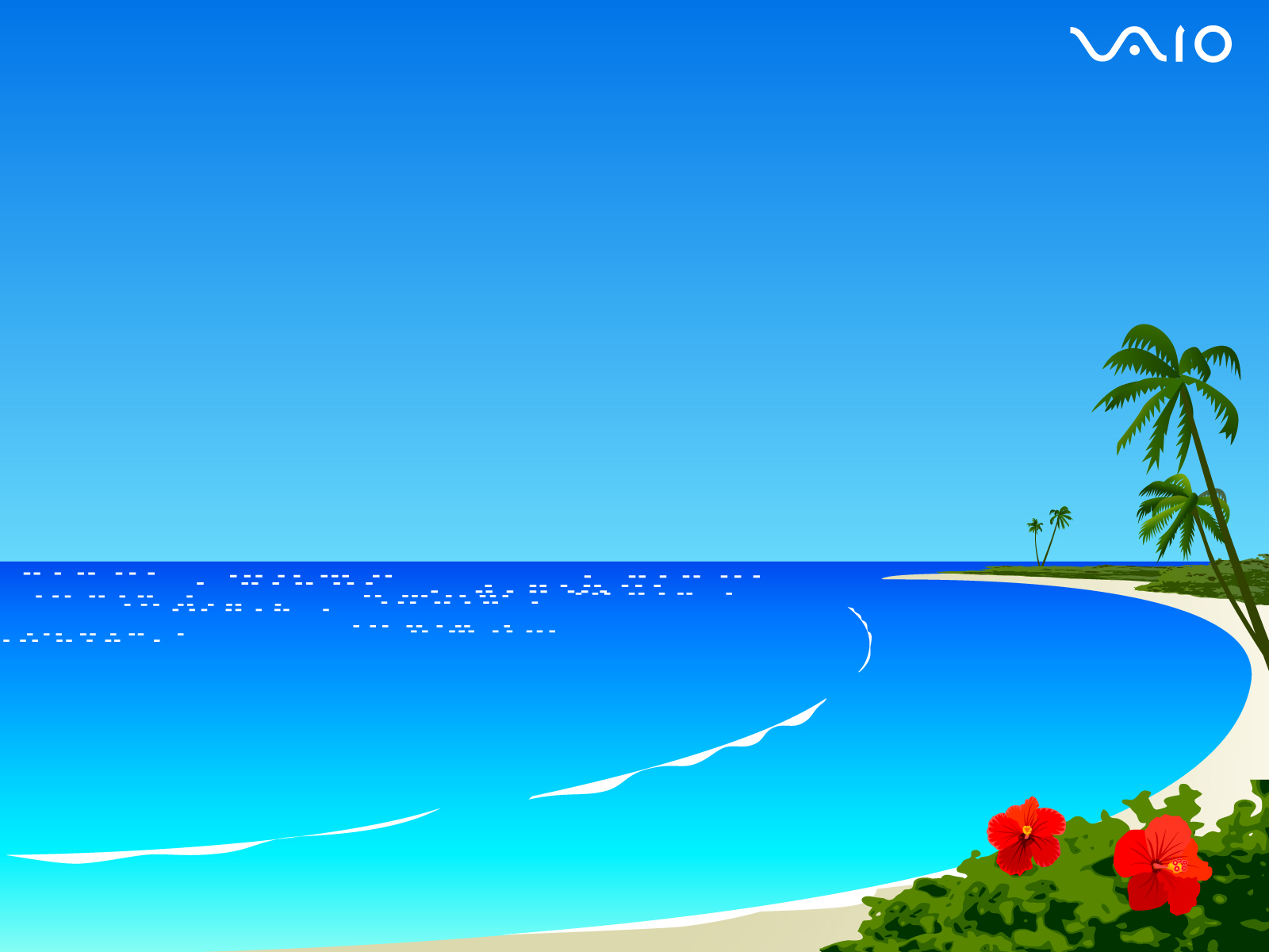 Sony eSupport 10 Information for Sony VAIO PC