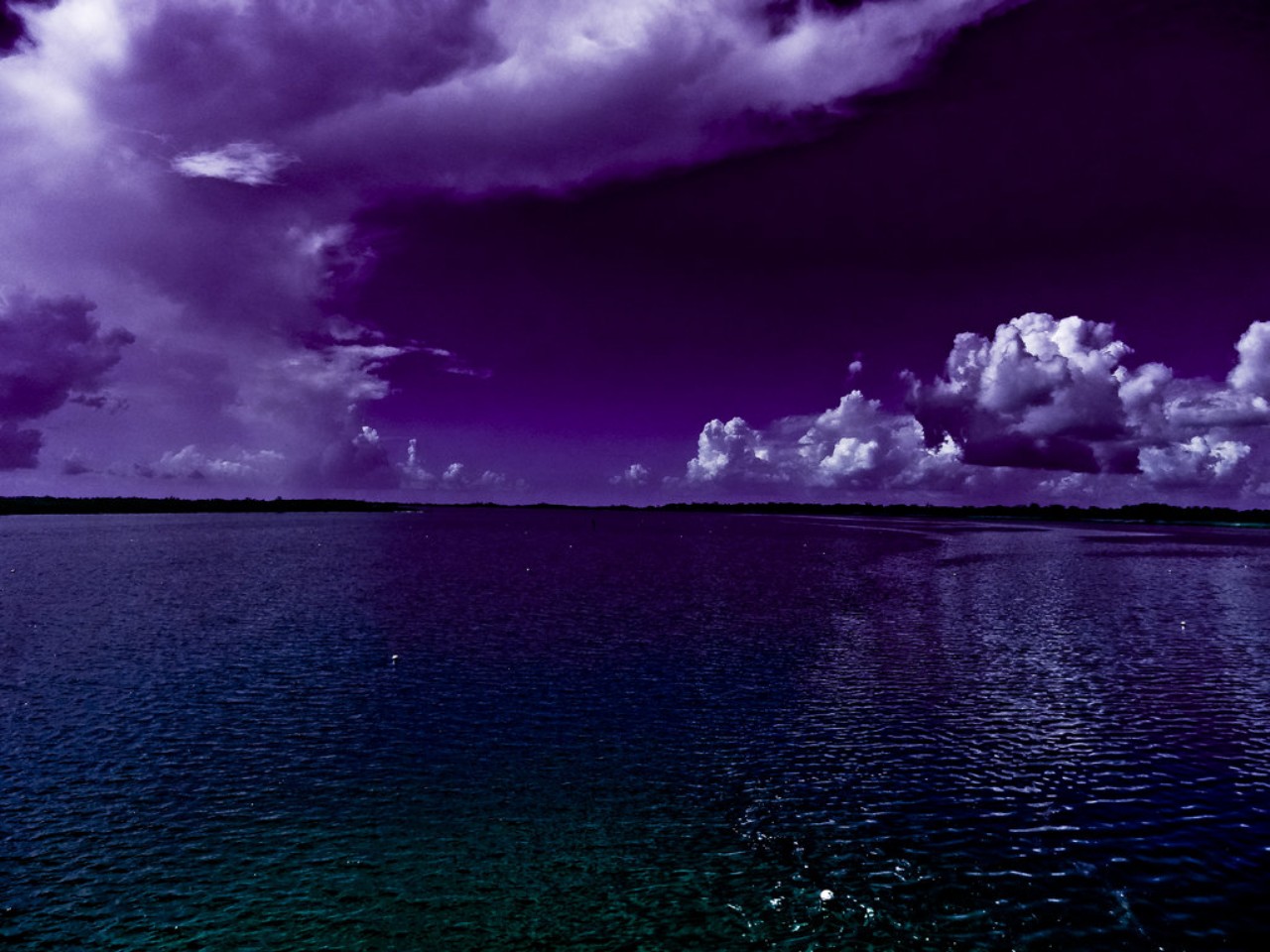 Purple Ocean Image