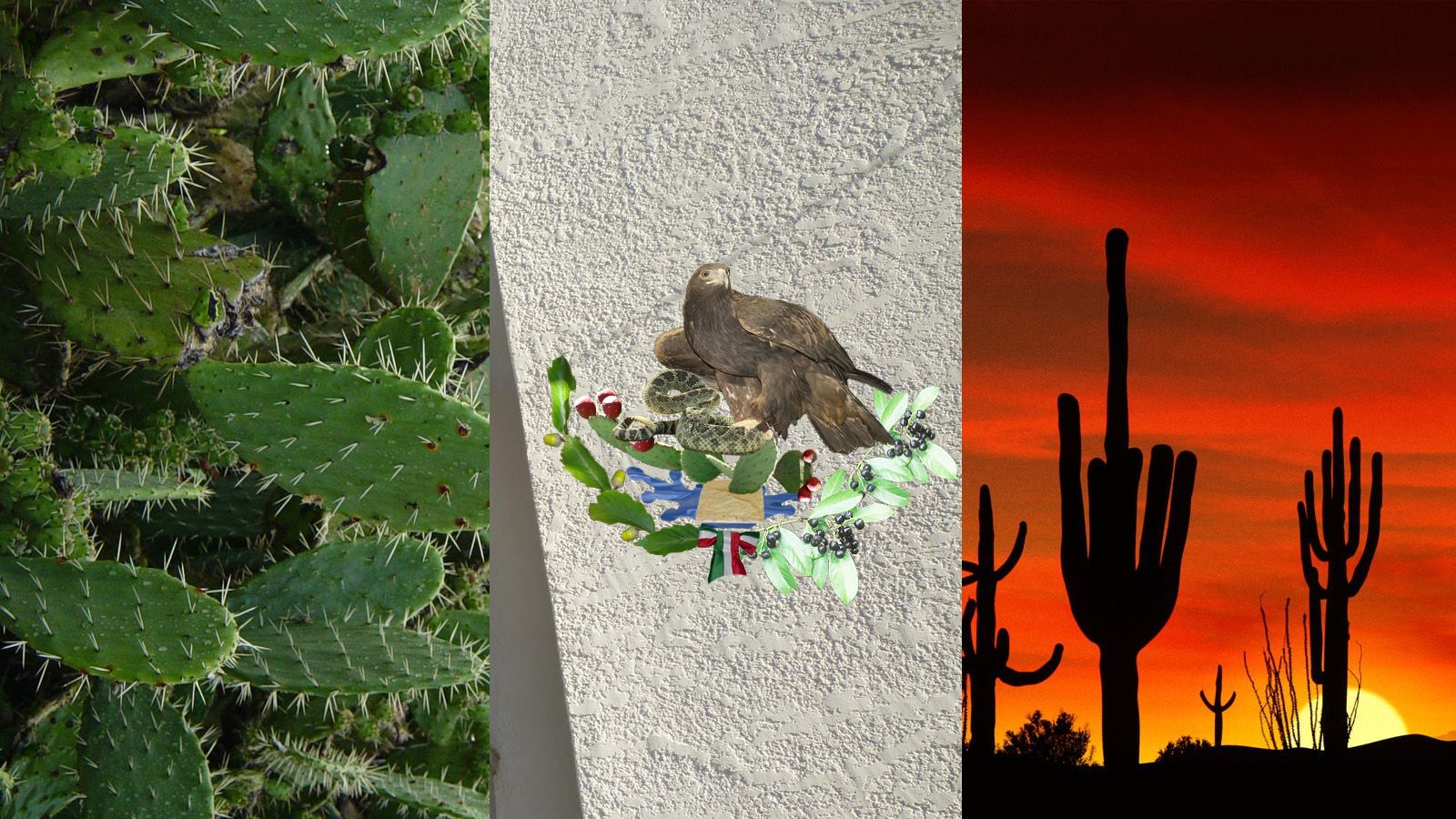 Tangolunda Bay Huatulco Mexico HD desktop wallpaper Mobile. Mexican flags, Mexico wallpaper, Wallpaper