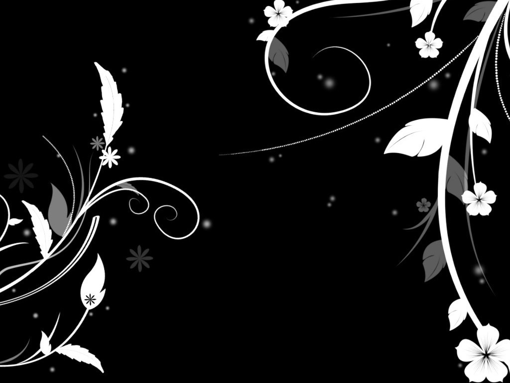 Black and White Floral wallpaperx768