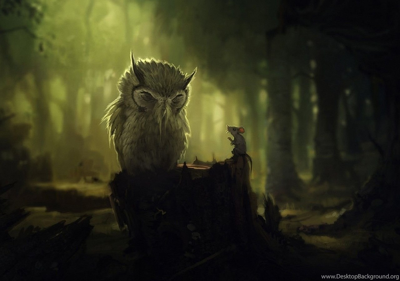 Owl Computer Wallpaper, Desktop Background Desktop Background