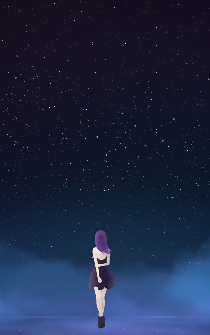 Download starry sky, fantasy, anime girl, minimal, night 840x1336 wallpaper, iphone 5, iphone 5s, iphone 5c, ipod touch, 840x1336 HD image, background, 19808