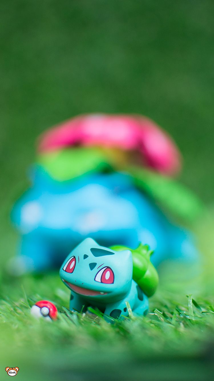 Bulbasaur. Bulbasaur, Pokemon toy, Pokemon