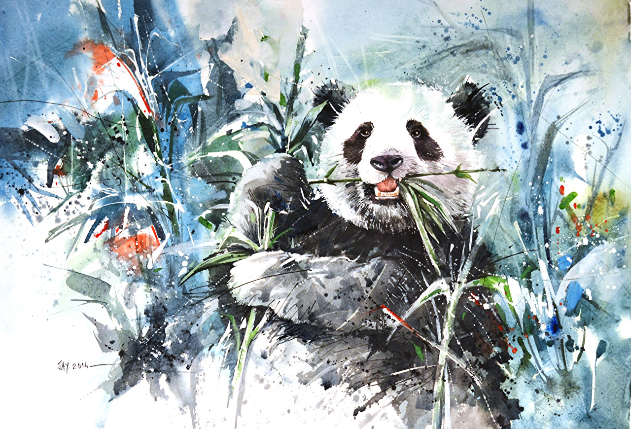 Desktop Wallpaper Pandas bear animal Painting Art