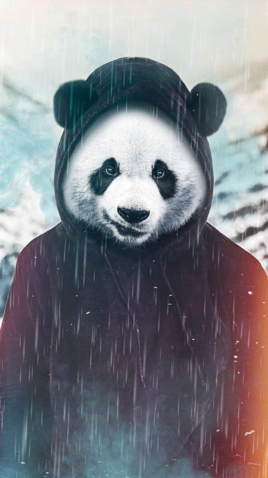 The Panda iPhone Wallpaper. Panda art, Panda wallpaper iphone, Panda background