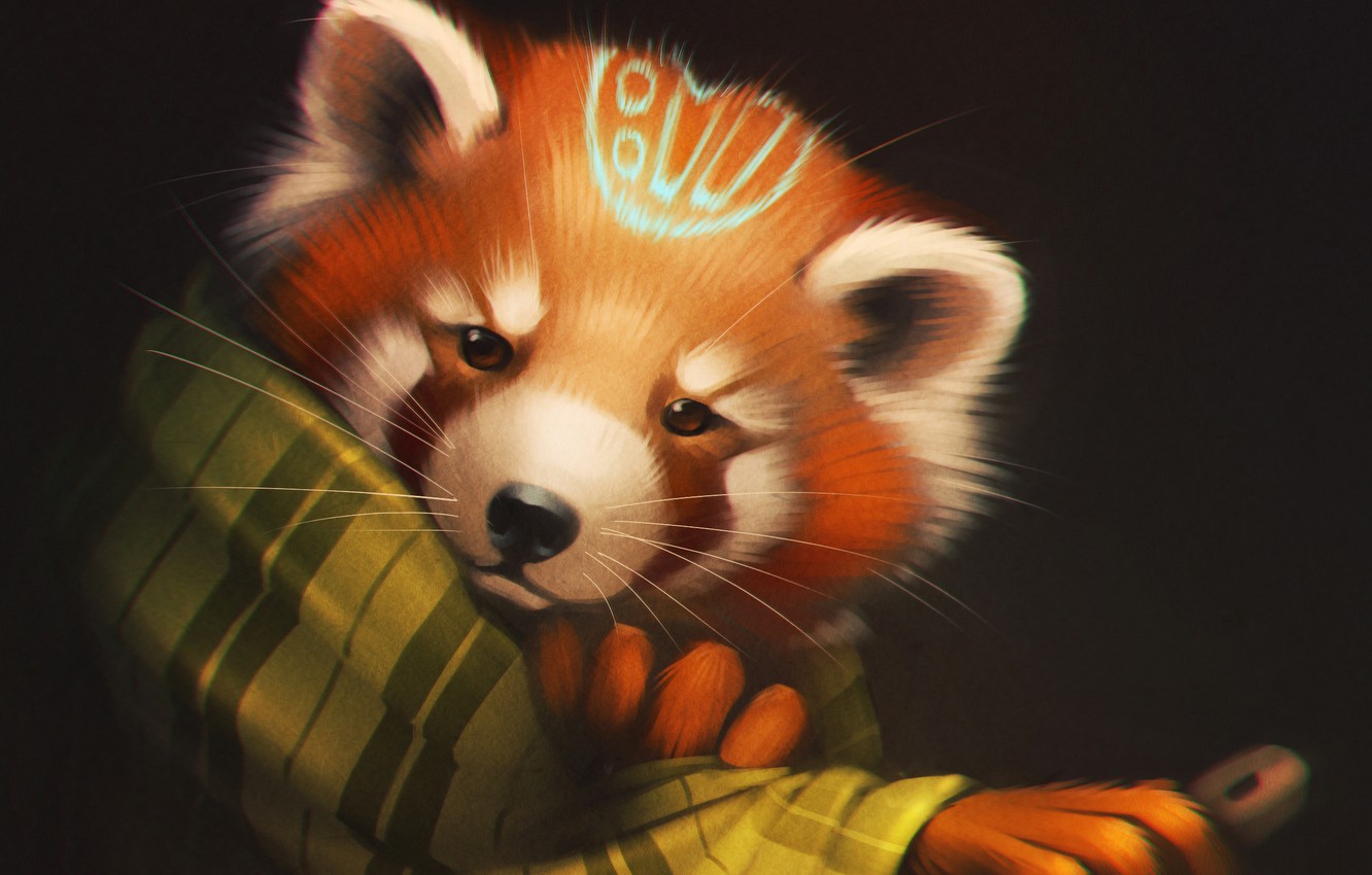 Wallpaper look, bear, art, Panda, plaid, red panda image for desktop, section живопись
