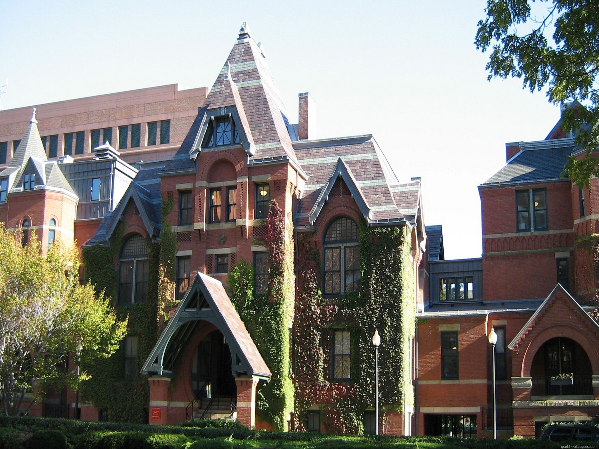 Boston University Wallpaper