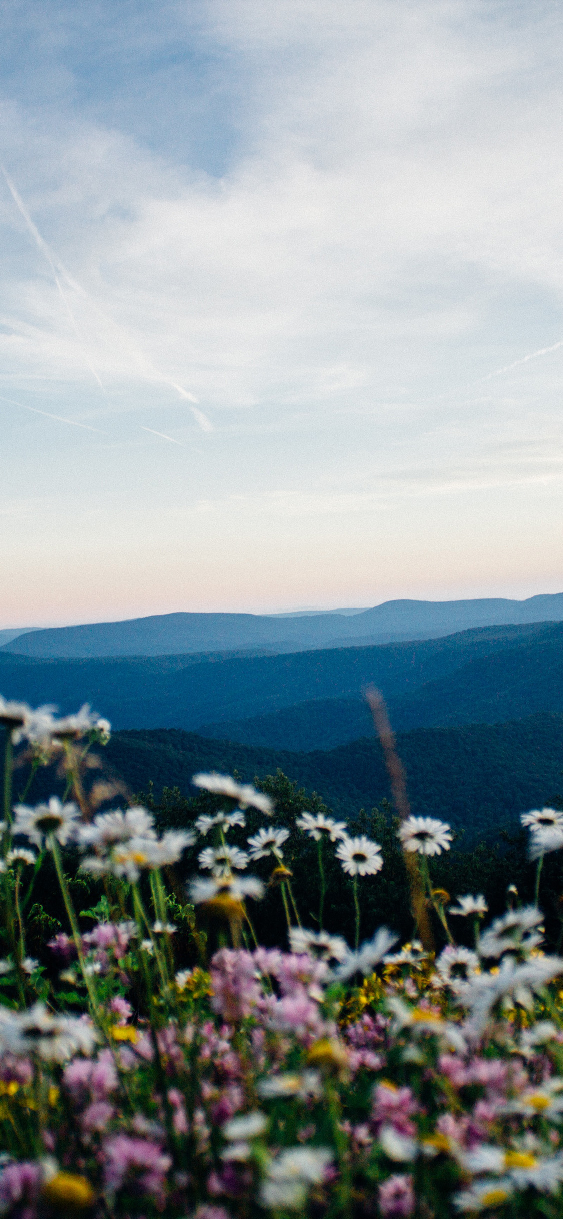 iPhone X wallpaper. nature spring mountain sky sunny