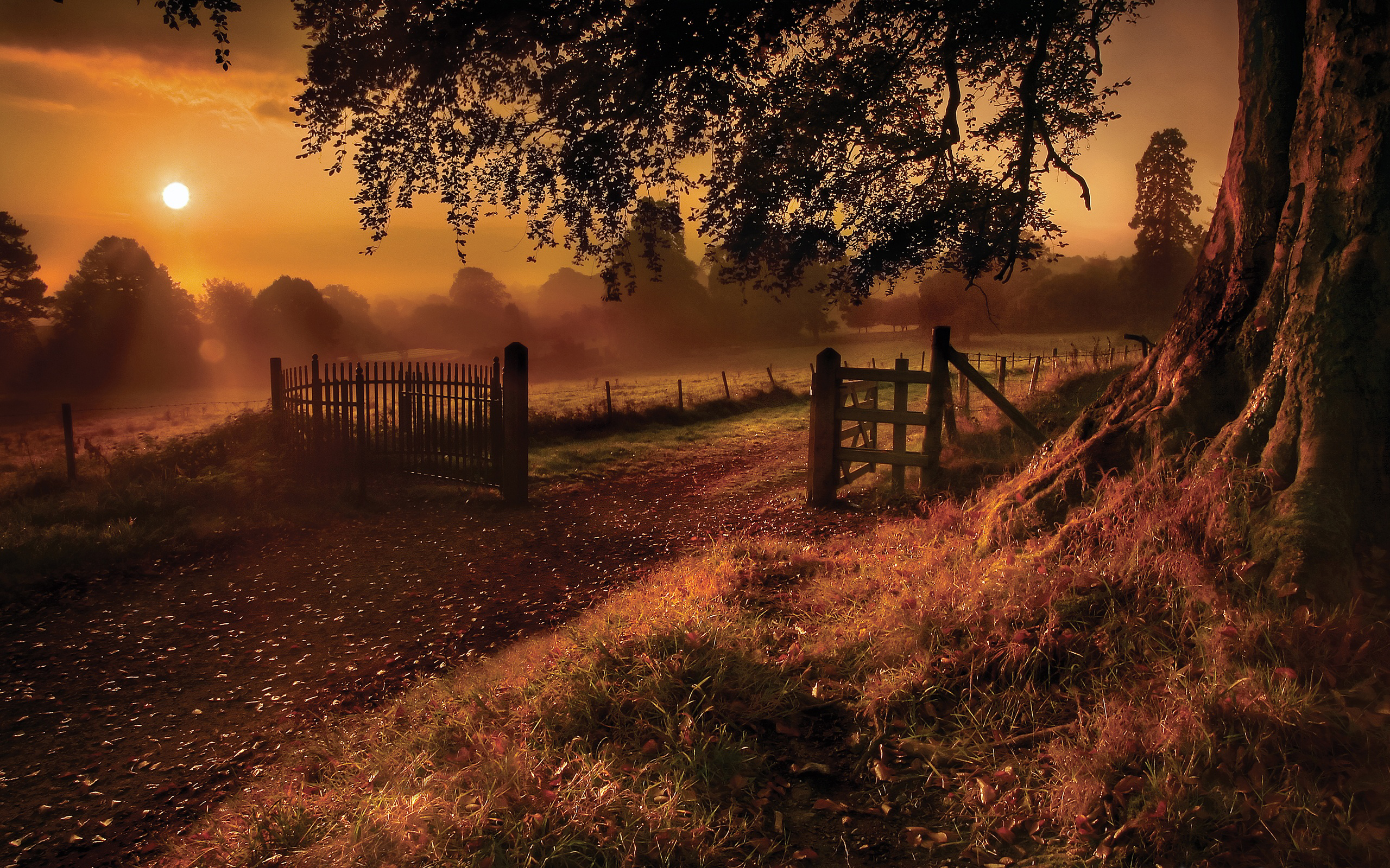 Country Scene Wallpaper