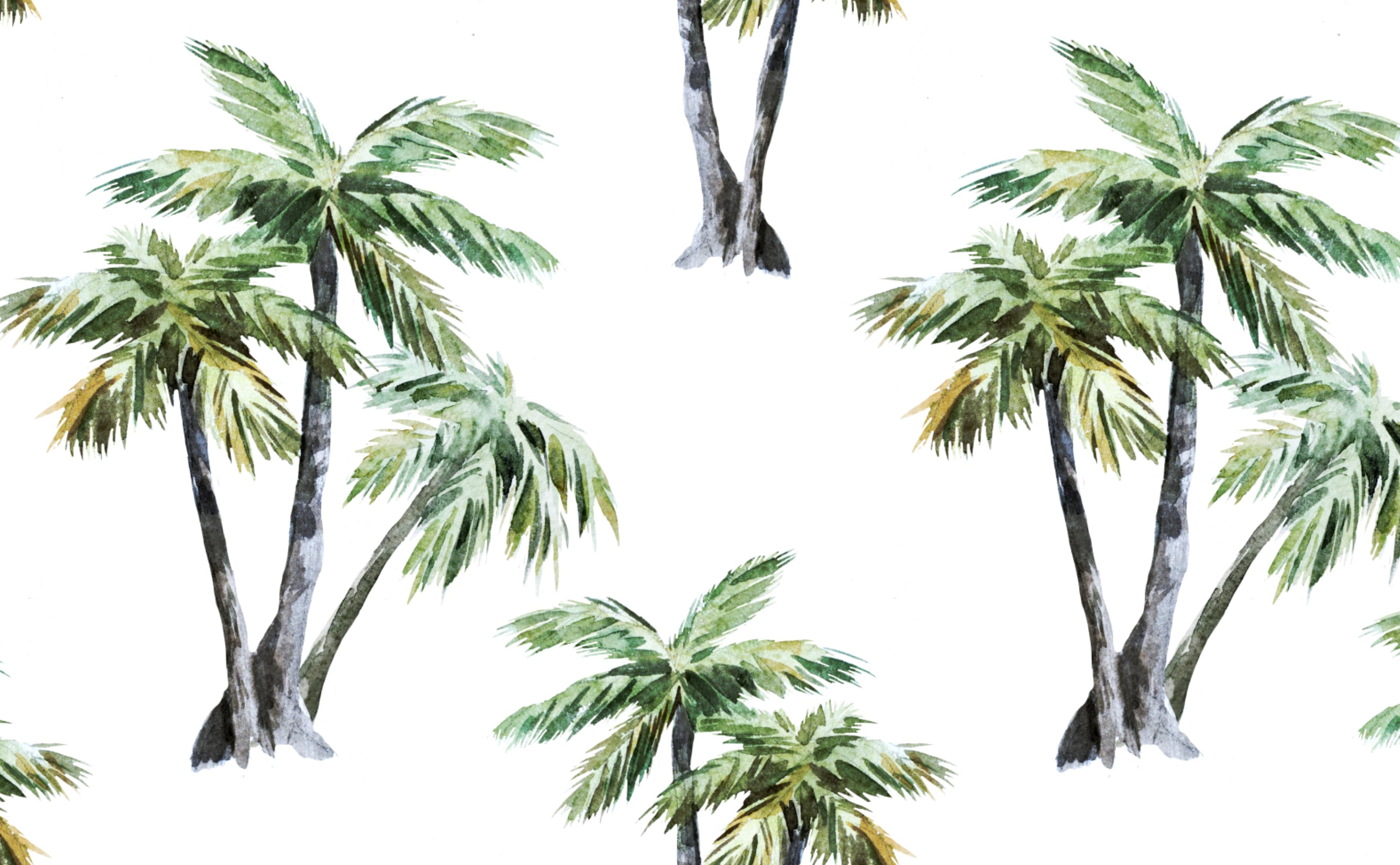 Coconut Palm Tree Clusters Wallpaper for Walls