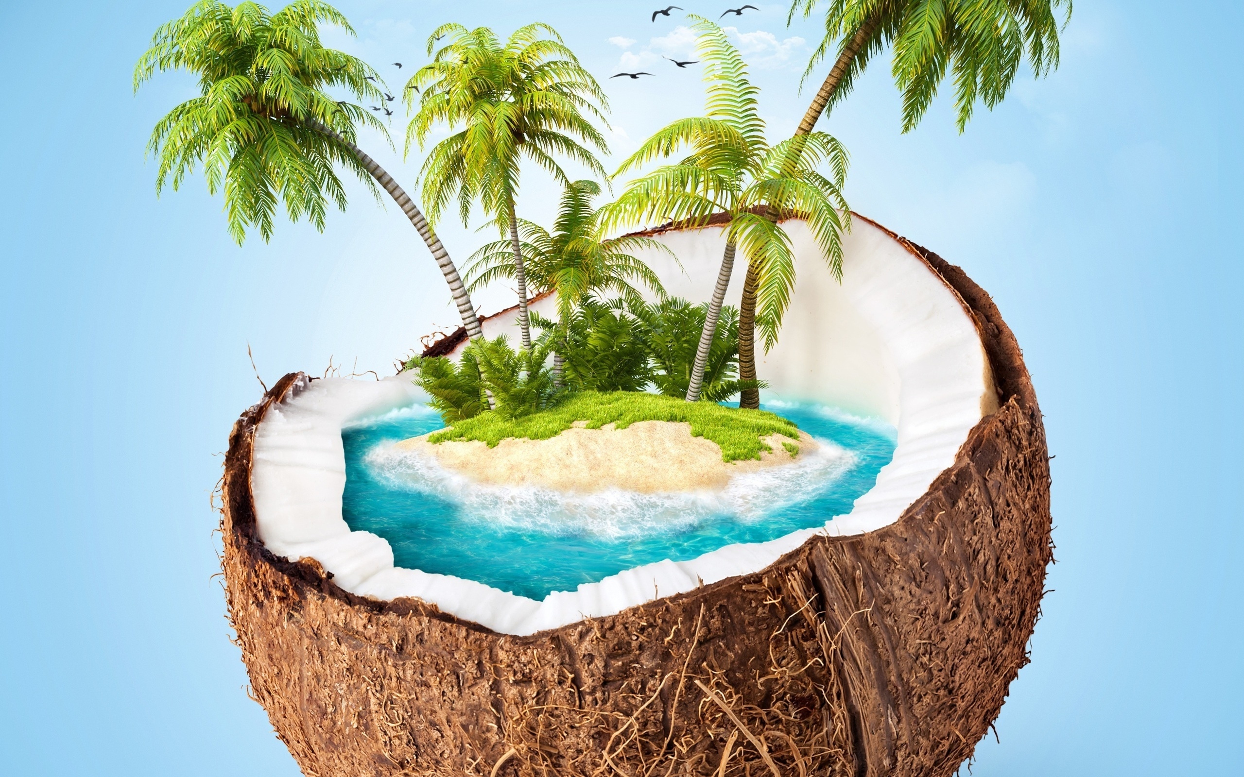 Coconut Palm Wallpapers - Wallpaper Cave