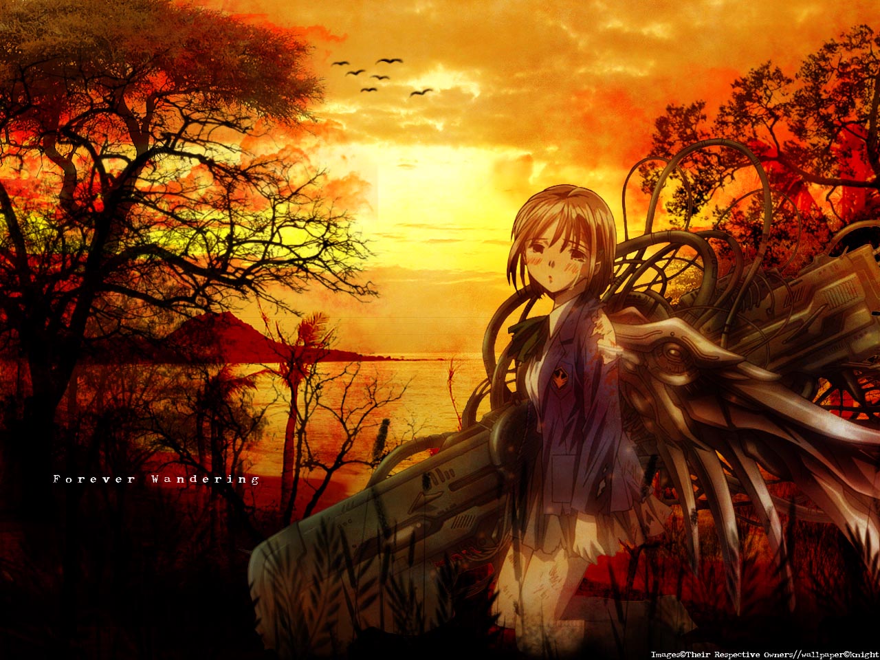 SaiKano and Scan Gallery