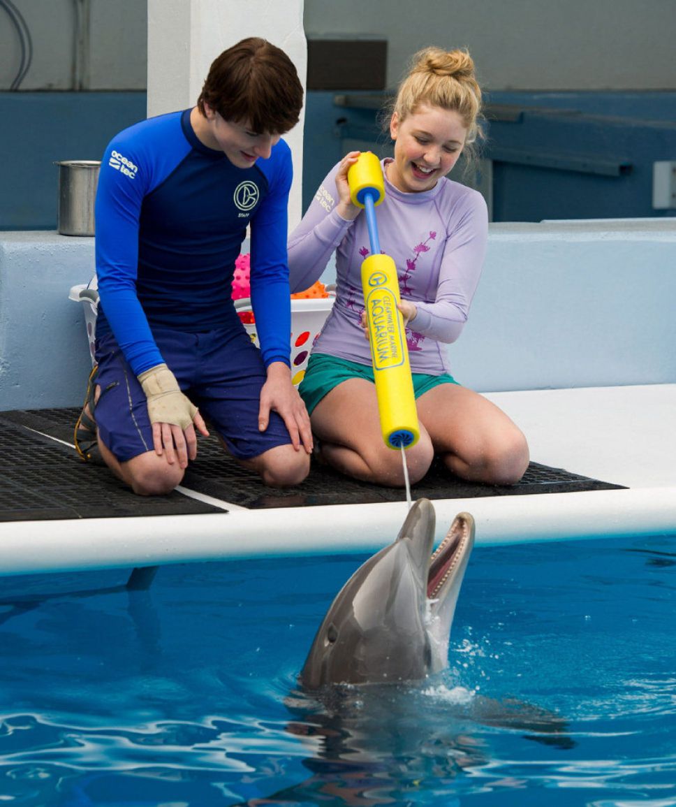 Dolphin Tale sequel offers more fine family fare: review