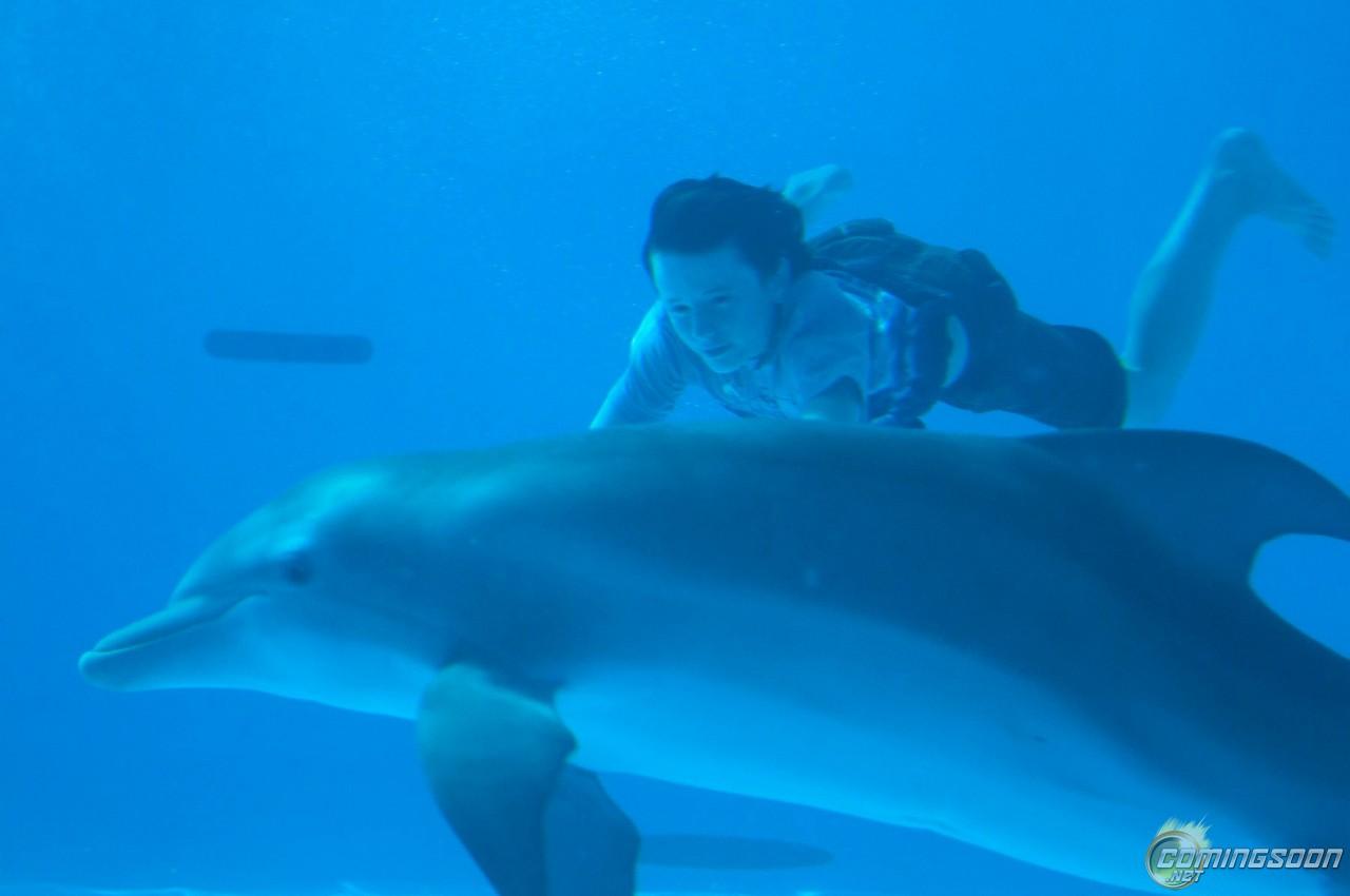 New and Image from Dolphin Tale