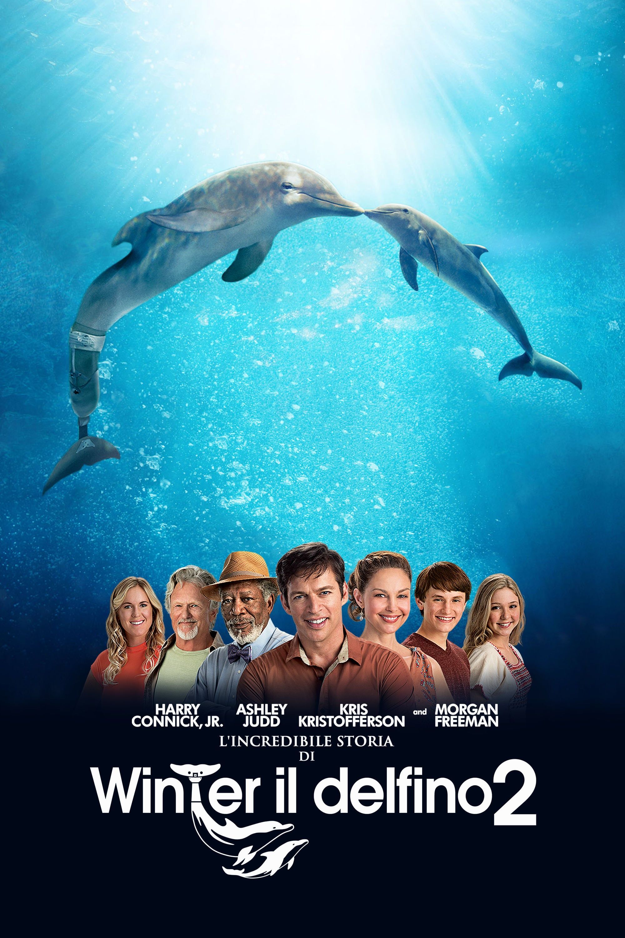 dolphin tale cast