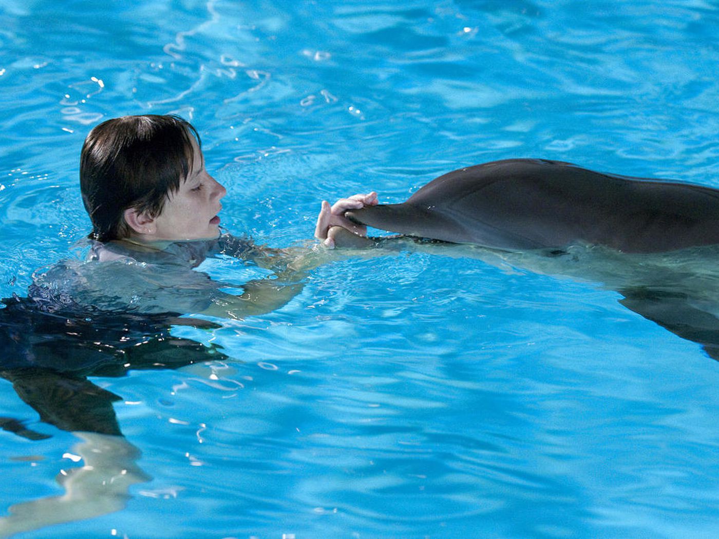 Families can relate to courage in 'Dolphin Tale'