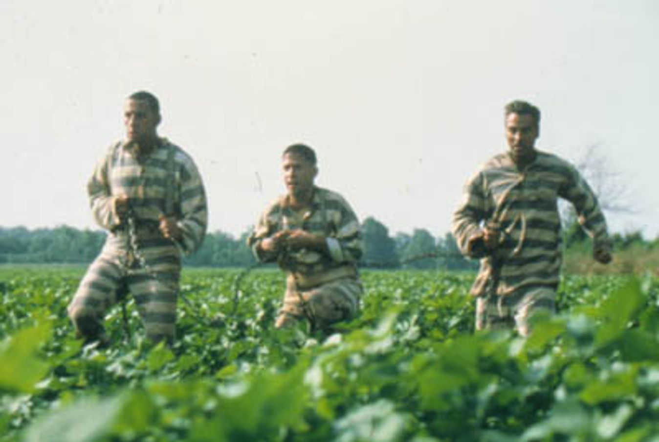 O BROTHER, WHERE ART THOU? de Cannes 2021