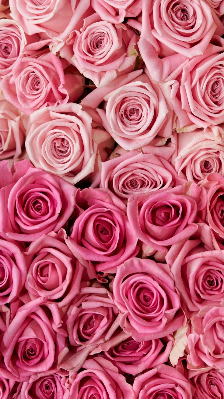 Gorgeous Floral iPhone Xs Wallpaper. Preppy Wallpaper. Floral wallpaper iphone, Pink wallpaper iphone, Rose wallpaper