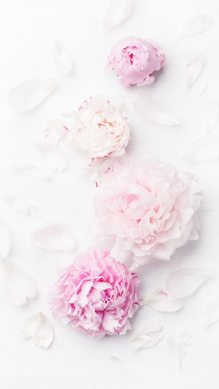 Gorgeous Floral iPhone Xs Wallpaper