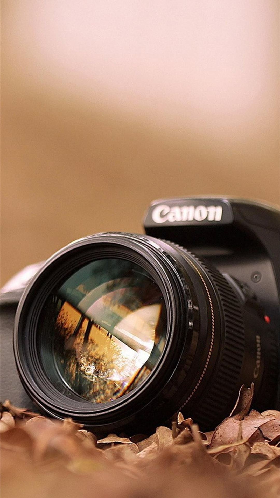 Free the Canon Camera Macro Fall Leaves beaty your. iPhone Wallpaper Free Download
