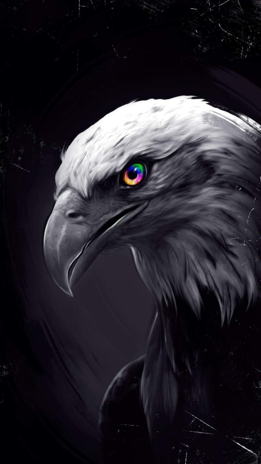 Eagle Portrait On A Dark Background. 3d Rendering And Illustration Free  Image and Photograph 198358500.
