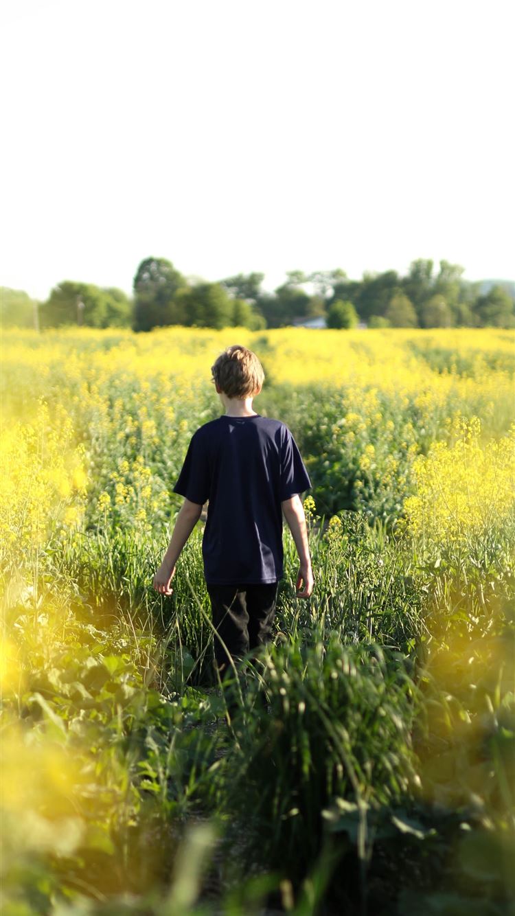 boys walking in yellow flower field during dayitme iPhone Wallpaper Free Download