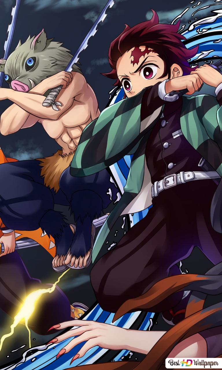 Demon Slayer, Kimetsu No Yaiba Agatsuma, Inosuke Hashibira, Tanjiro Kamado & Nezuko Kamado HD wallpaper download