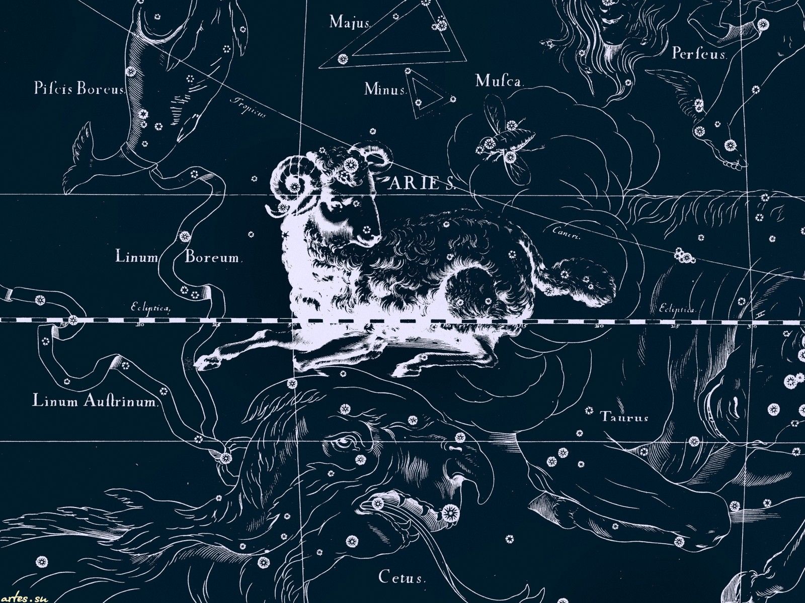 Zodiac. Aries wallpaper, Large canvas art, Constellations