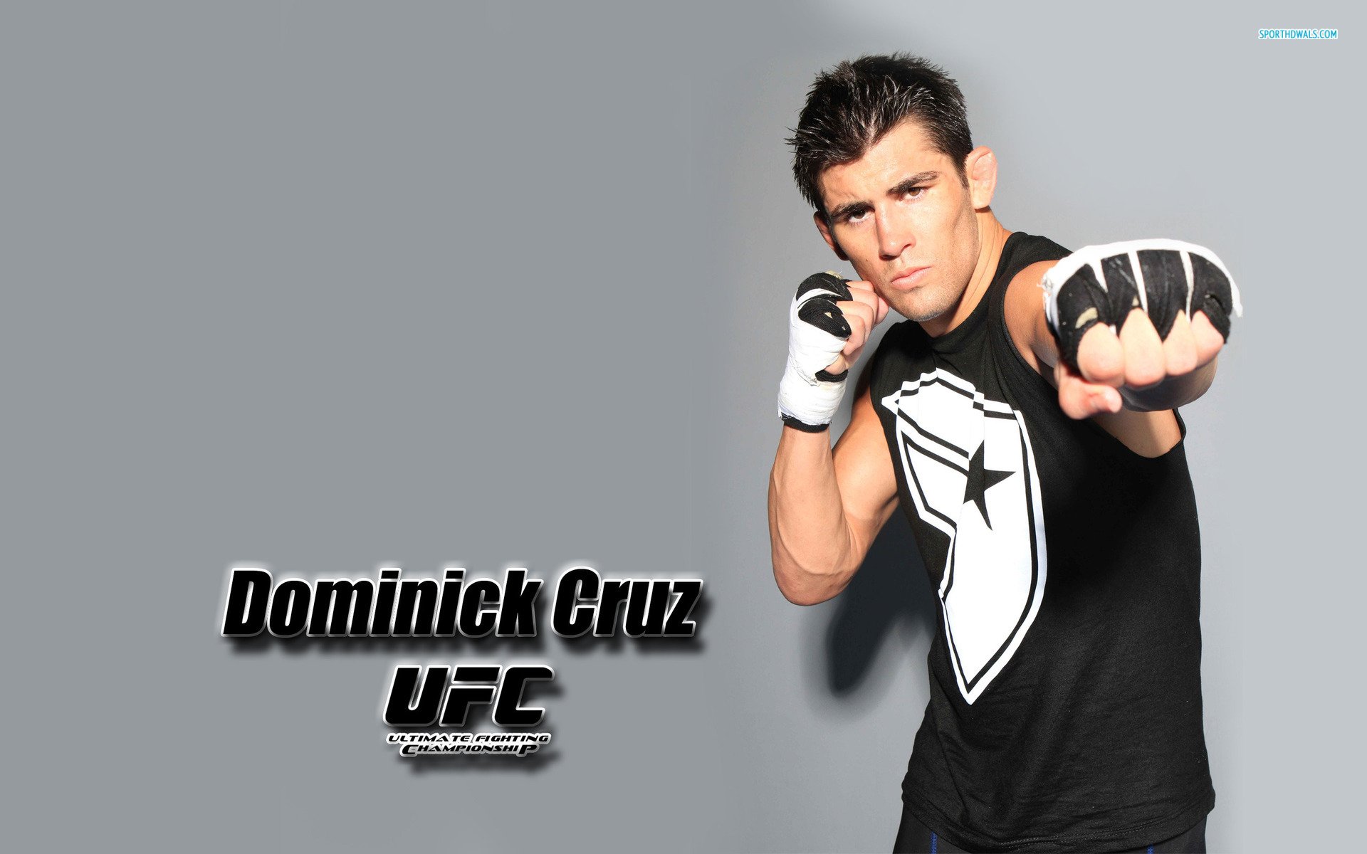 Dominick Cruz Wallpapers - Wallpaper Cave