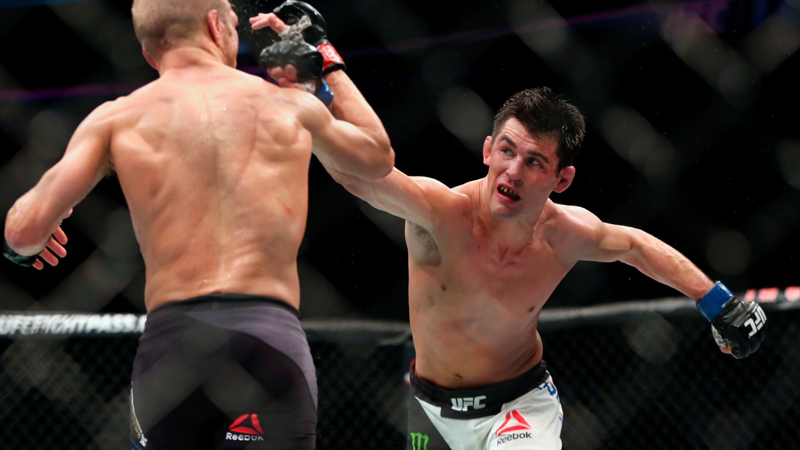 Dominick Cruz Wallpapers - Wallpaper Cave