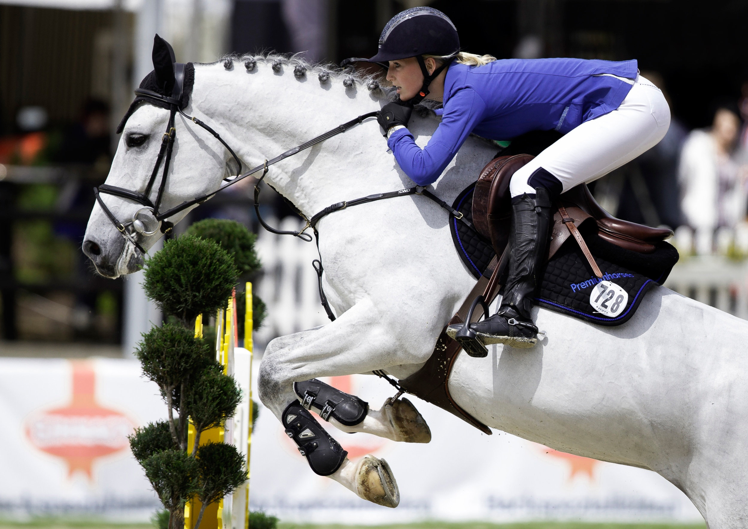 Show Jumping HD Wallpaper and Background Image