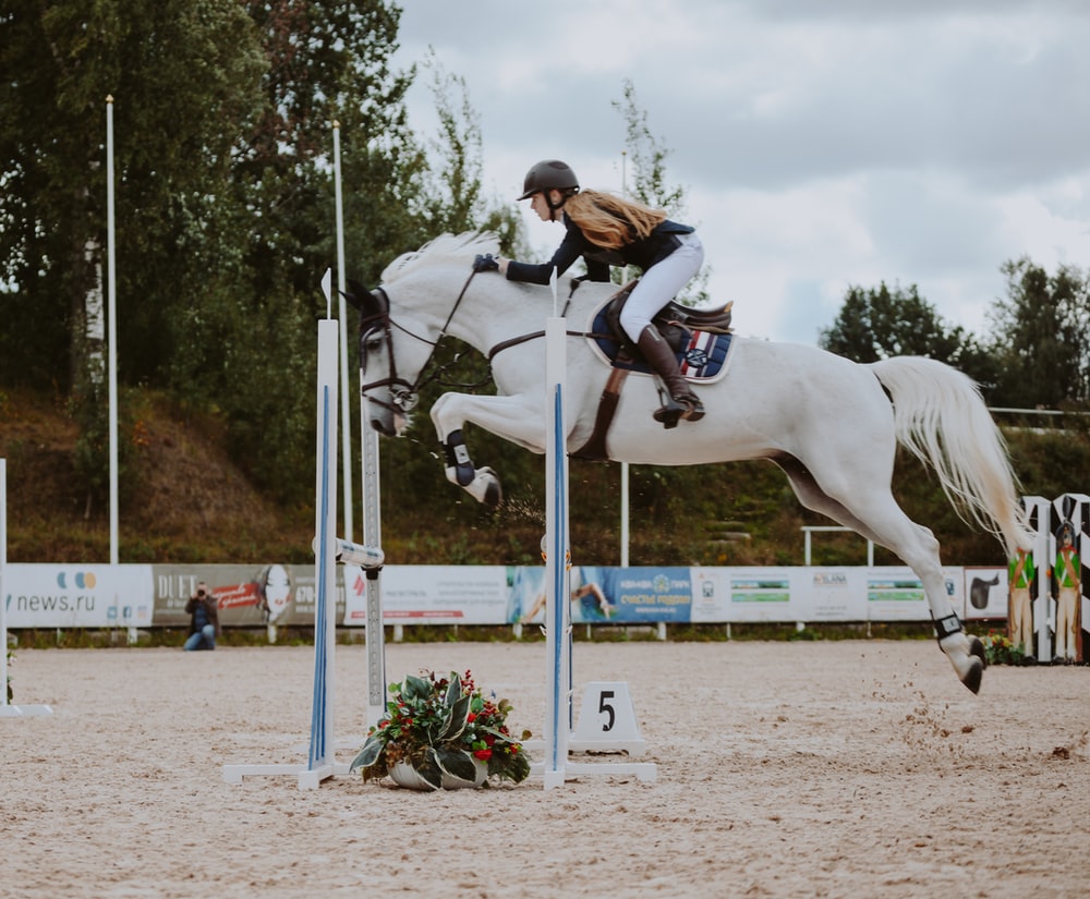Showjumping Picture. Download Free Image